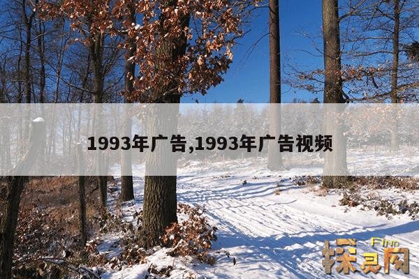 1993年广告,1993年广告事件