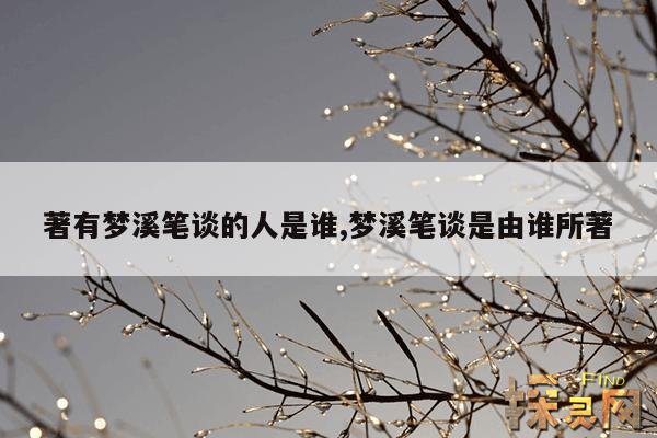 著有梦溪笔谈的人是谁,著有梦溪笔谈的是北宋时期的哪一位