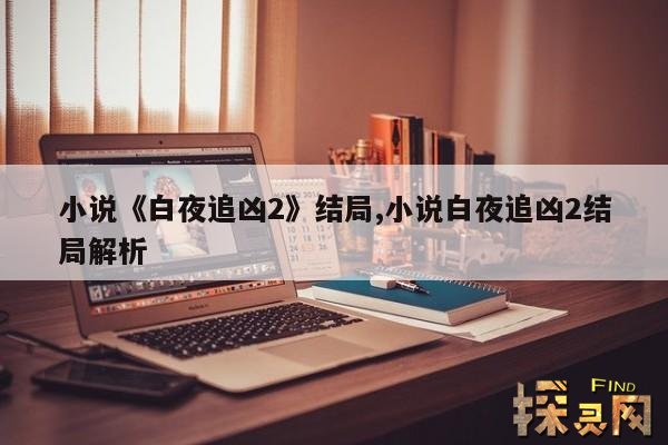 小说《白夜追凶2》结局,白夜追凶2的真相是什么