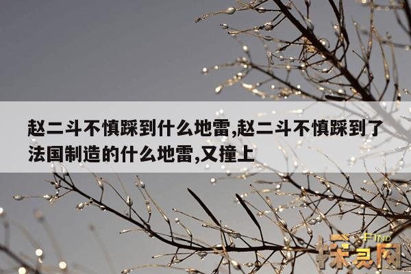 赵二斗不慎踩到什么地雷,赵二斗不慎踩到了法国制造的什么地雷,又撞上