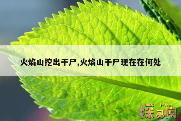 火焰山挖出干尸,火焰山腹地发现千年干尸