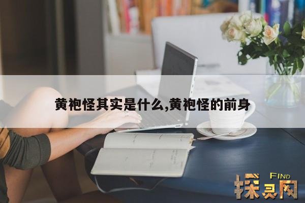 黄袍怪其实是什么,黄袍怪的真实身份是什么