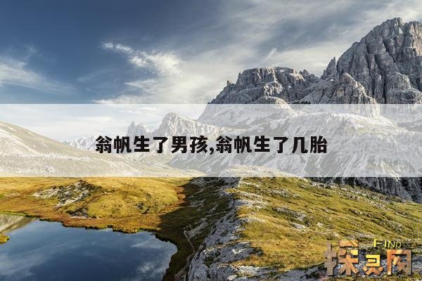 翁帆生了男孩,翁帆生了几胎