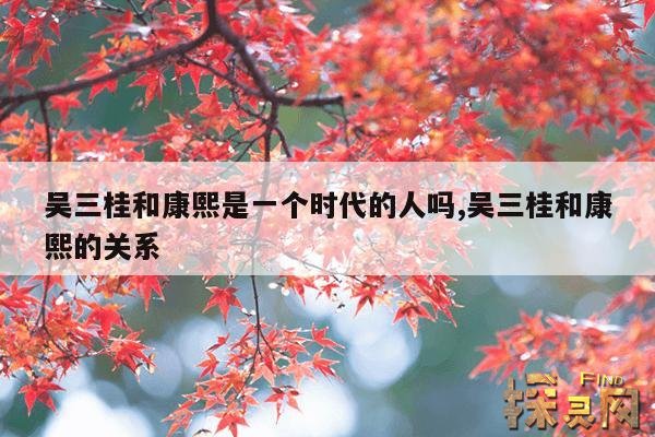 吴三桂和康熙是一个时代的人吗？,吴三桂跟康熙帝什么关系