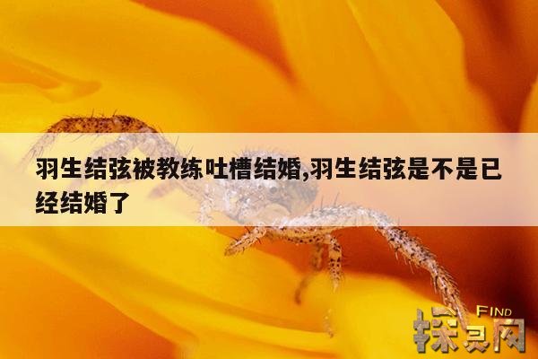 羽生结弦被教练吐槽结婚,羽生结弦的教练团队