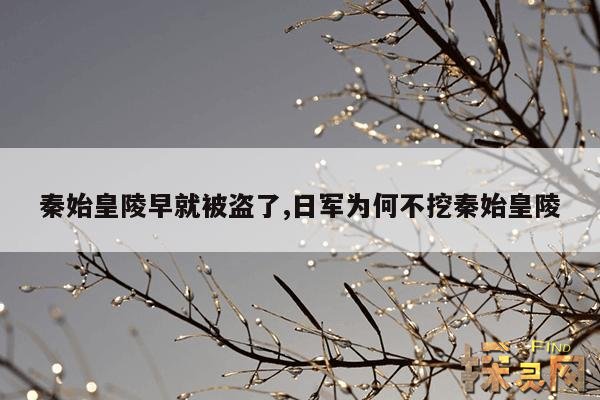 秦始皇陵早就被盗了,秦始皇陵早已被盗