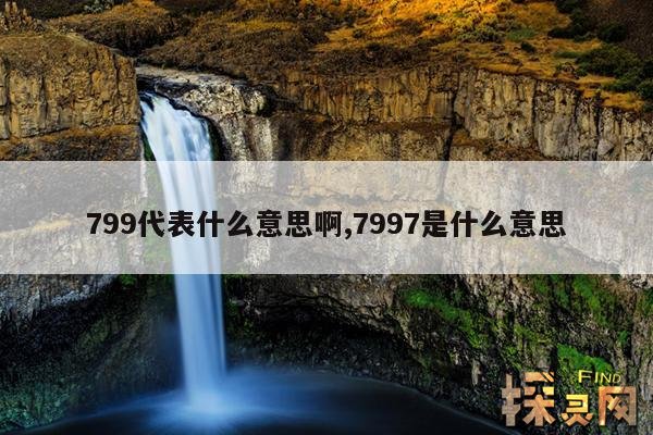 799代表什么意思啊,799一般指啥意思