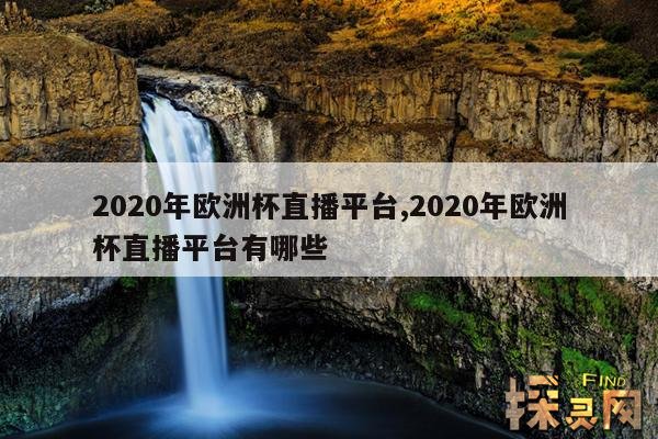 2020年欧洲杯直播平台,欧洲杯直播,欧洲杯直播平台首页