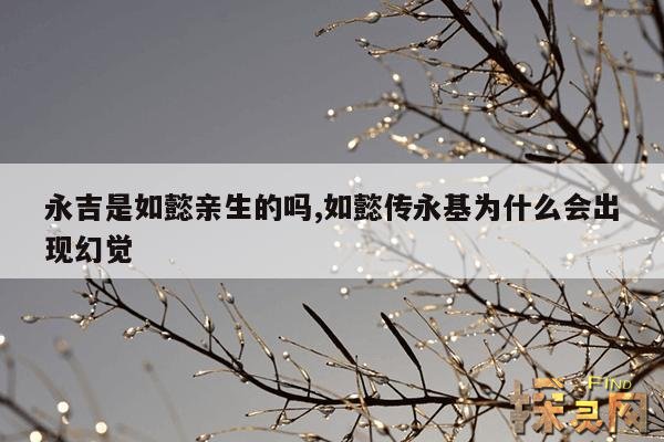 永吉是如懿亲生的吗？,如懿传永基被刺杀是哪一集