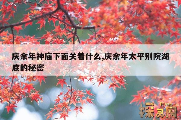 庆余年神庙下面关着什么,庆余年神庙里面有什么秘密