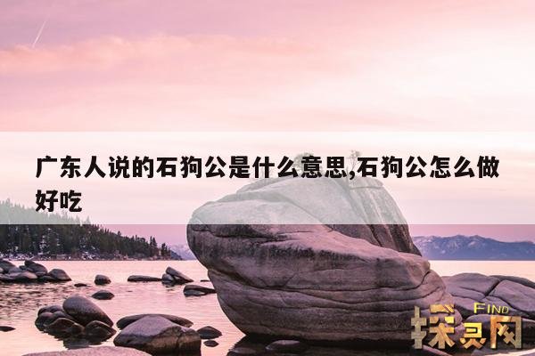 广东人说的石狗公是什么意思,石狗公养殖方法