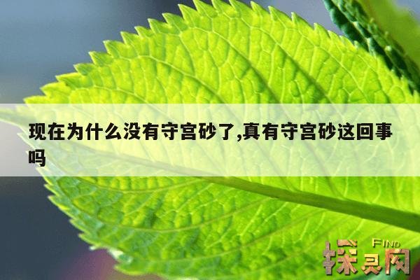 现在为什么没有守宫砂了,现代人为什么没有守宫砂