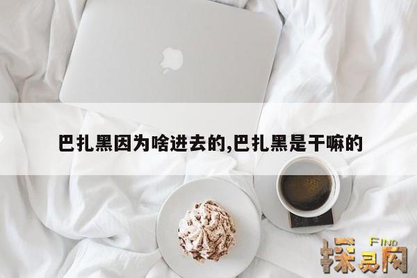 巴扎黑因为啥进去的,巴扎黑因为什么进去