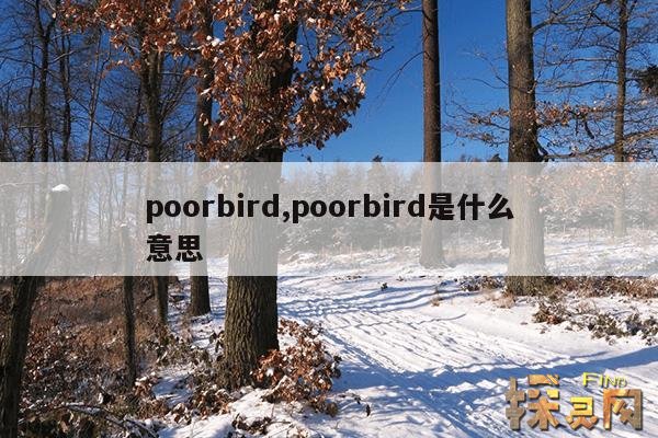 poorbird,poorbird是什么意思