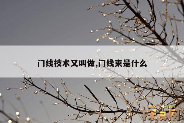 门线技术又叫做,门线技术多少钱