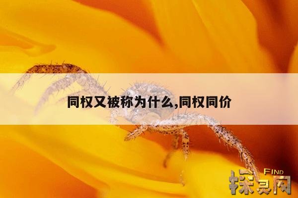 同权又被称为什么,同票同权体现了平等中的