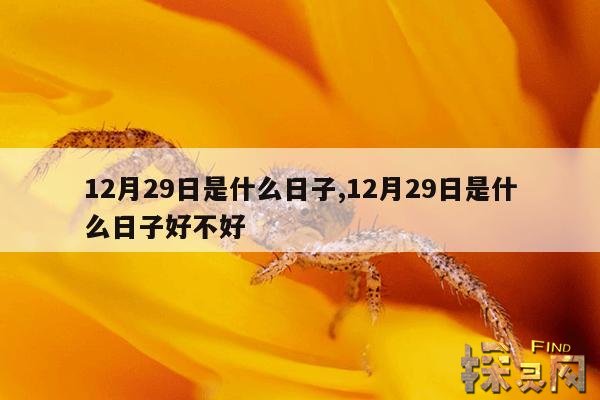 12月29日是什么日子,阳历12月29日是什么日子