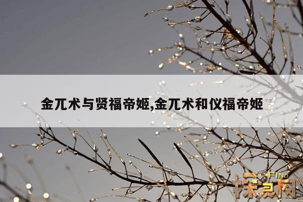 金兀术与贤福帝姬,金兀术与贤福帝姬小说