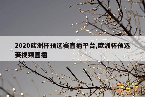 2020欧洲杯预选赛直播平台,欧洲杯预选赛录像