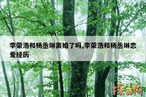 李荣浩和杨丞琳离婚了吗？,李荣浩和杨丞琳晒婚礼