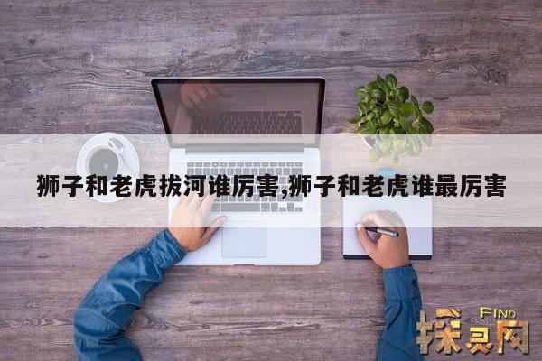 狮子和老虎拔河谁厉害,狮子和老虎比赛谁会赢