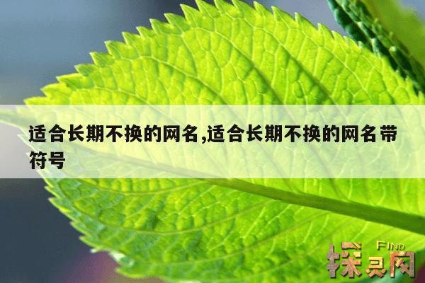 适合长期不换的网名,适合长期不换的网名带符号