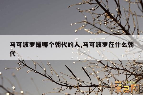 马可波罗是哪个朝代的人,马可波罗是在哪一朝代来的