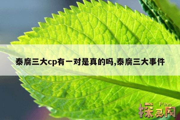 泰腐三大cp有一对是真的吗？,泰腐有哪几对官配