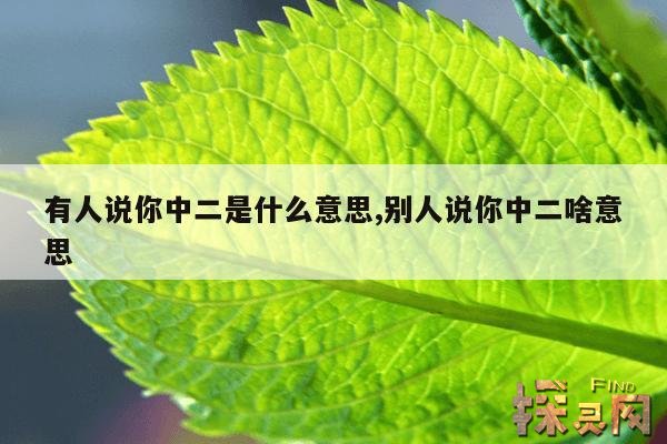 有人说你中二是什么意思,别人说你中二是骂你么