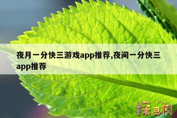 夜月一分快三游戏app推荐