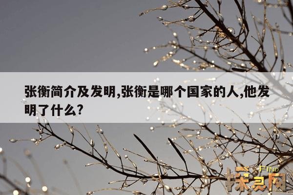 张衡简介及发明,张衡的发明资料