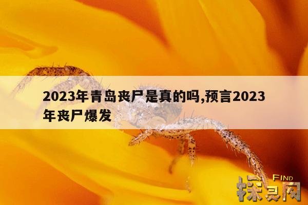 2023年青岛丧尸是真的吗？,地球最诡异的一天