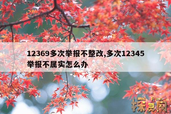 12369多次举报不整改,12369举报不处理怎么办？