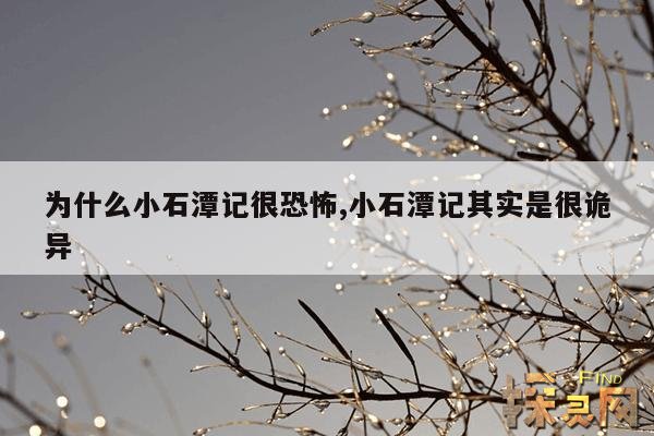 为什么小石潭记很恐怖,小石潭记中小石潭得名的原因