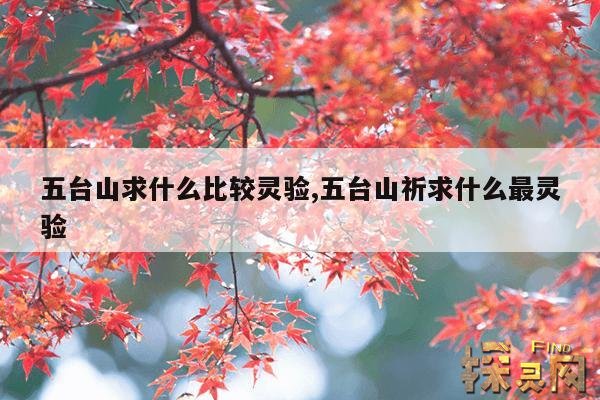 五台山求什么比较灵验,三种人不宜去五台山