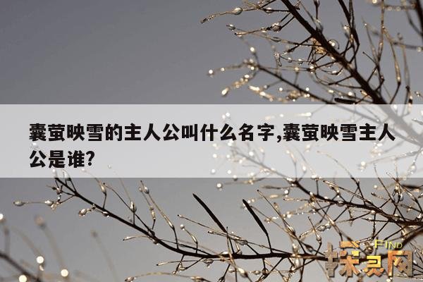 囊萤映雪的主人公叫什么名字,囊萤映雪的主人公是谁怎么读