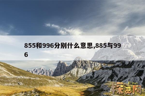 855和996分别什么意思,公务员955是什么意思