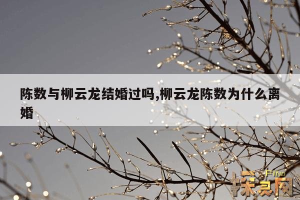 陈数与柳云龙结婚过吗？,陈数和柳云龙关系