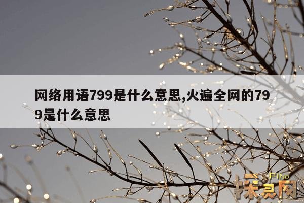 网络用语799是什么意思,799什么意思网络流行语