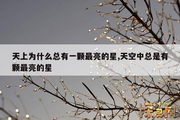 天上为什么总有一颗最亮的星,天空中总是有颗最亮的星