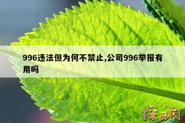 996违法但为何不禁止,劳动法真的是可笑