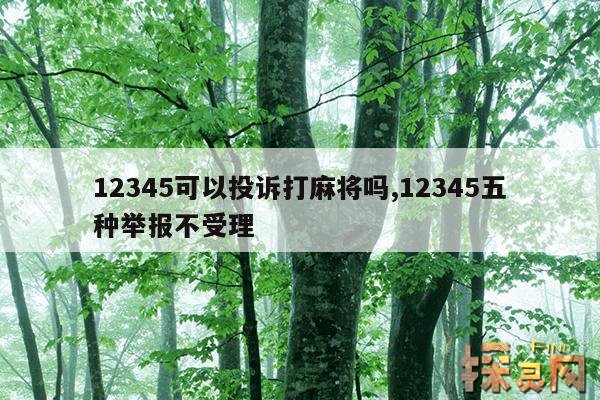 12345可以投诉打麻将吗？,12345可以举报打牌吗？