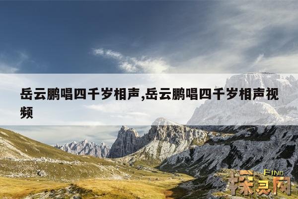 岳云鹏唱四千岁相声,岳云鹏唱四千岁相声视频