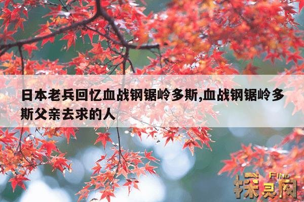 日本老兵回忆血战钢锯岭多斯,血战钢锯岭多斯救的人