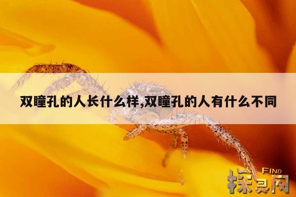 双瞳孔的人长什么样,双瞳孔人照片