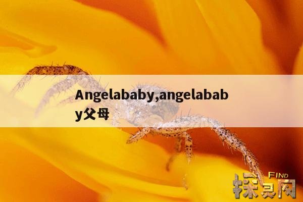 Angelababy,angelababy图片