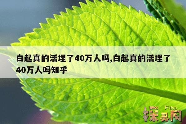 白起真的活埋了40万人吗？,秦灭六国哪国最惨