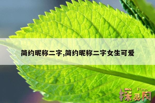 简约昵称二字,简约昵称二字女生