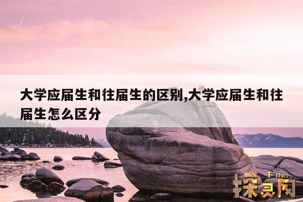 大学应届生和往届生的区别,大学毕业应届往届生的区别