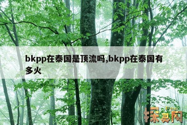 bkpp在泰国是顶流吗？,bkpp是纯泰国人吗？